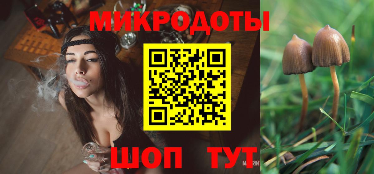 Верхний Уфалей  Псилоцибиновые грибы Cubensis  Вход с VPN 